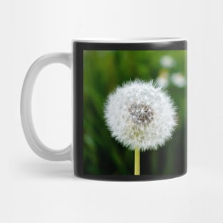 White dandelion head blowball Mug